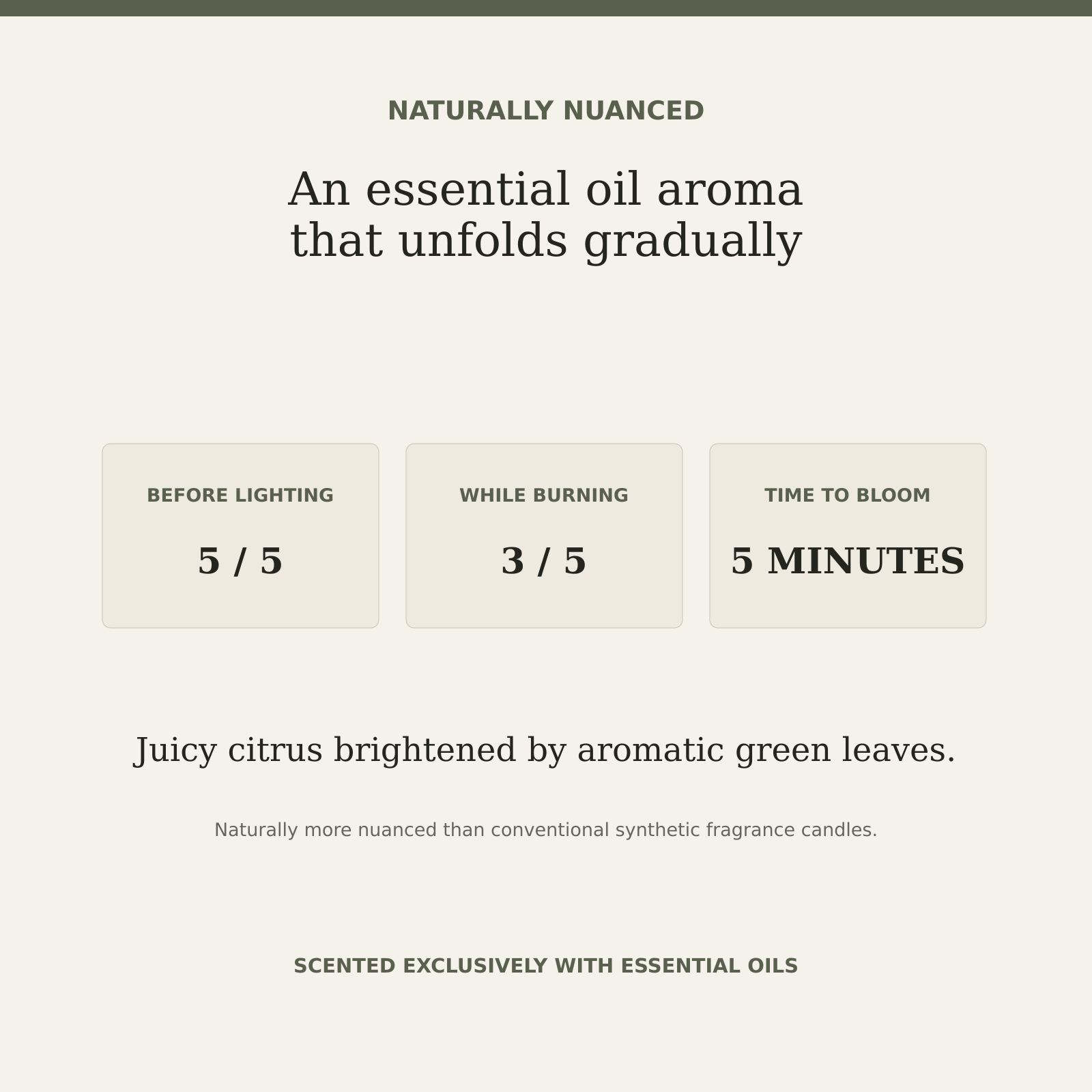 AROMU C03 Citrus Grove natural aroma information