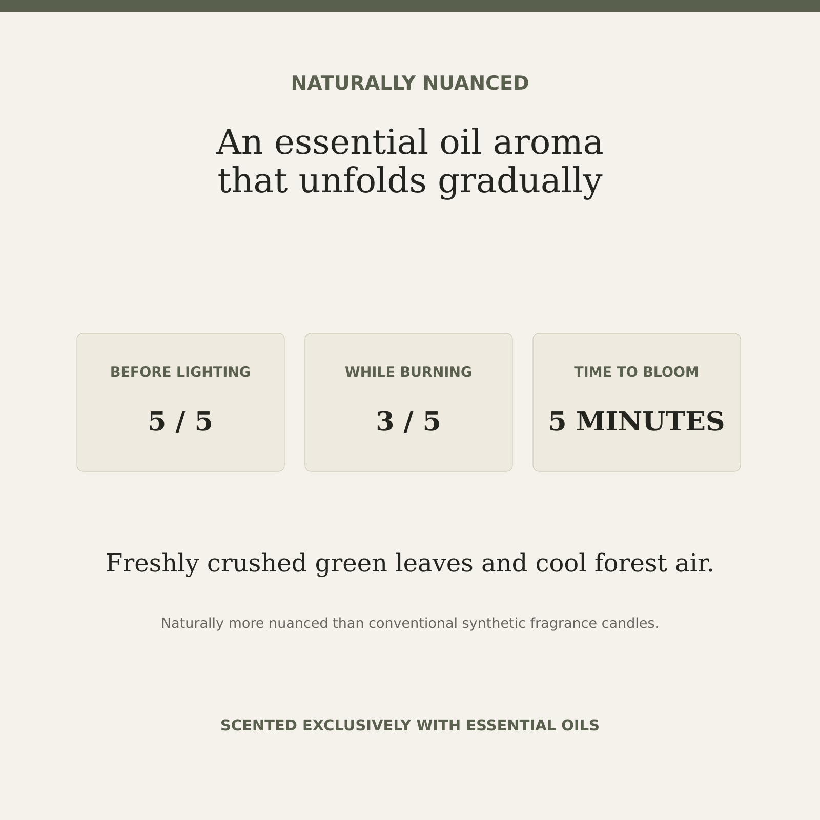 AROMU H05 Eucalyptus Leaf natural aroma information