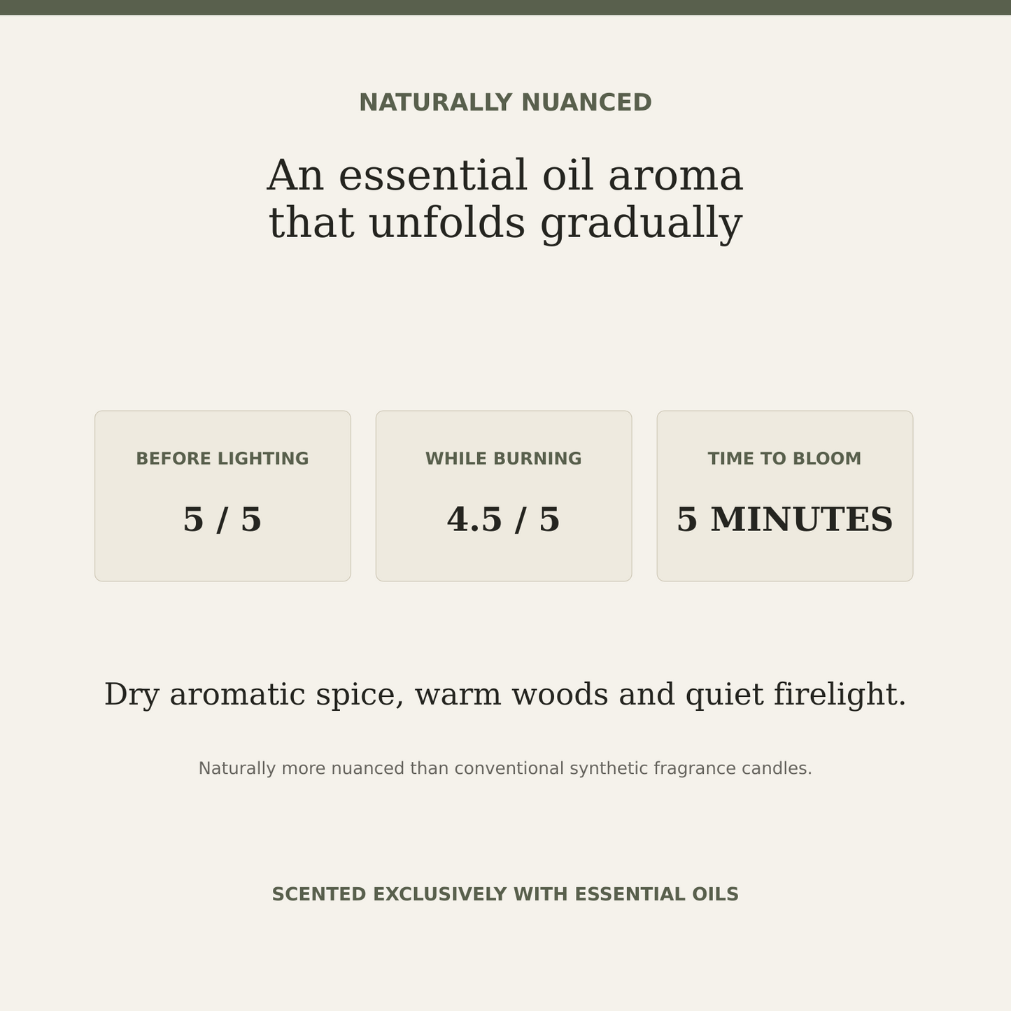 AROMU W02 Cinnamon Ember natural aroma information