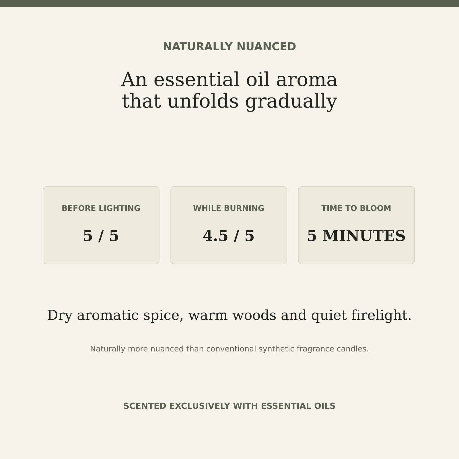 AROMU W02 Cinnamon Ember natural aroma information