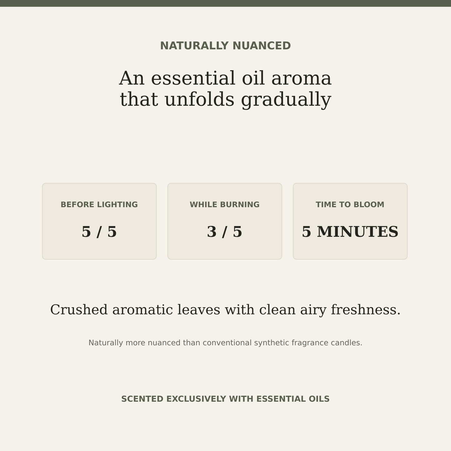AROMU W04 Green Basil natural aroma information