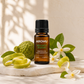 AROMU Bergamot Essential Oil botanical still life